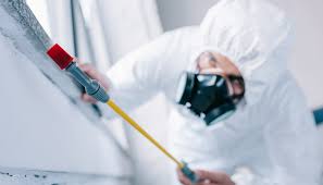 Emergency Pest Control Services in Royersford, PA